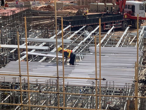 新技术驱动下的木质建筑废弃物重生 从废弃到建设新篇章